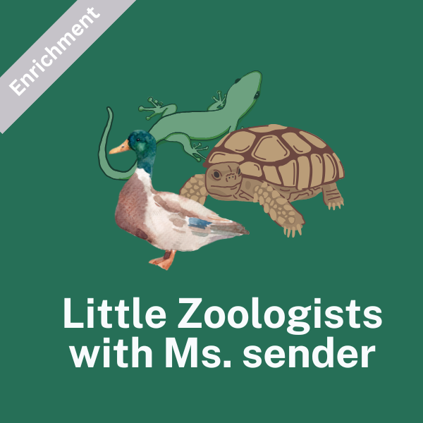 MONDAY: Little Zoologists ( 1st grade) Spring