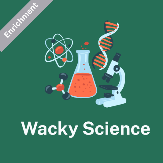 MONDAY: Wacky Science (1st grade) Spring