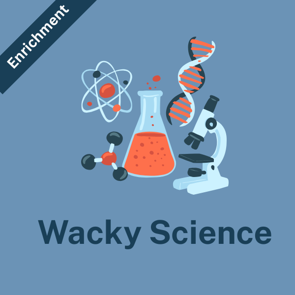 MONDAY: Wacky Science (2nd-4th grade) Spring