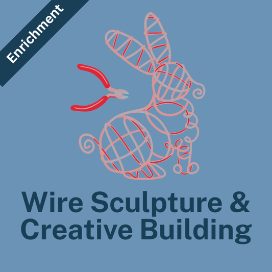THURSDAY: Wire Sculpture & Creative Building (2nd-4th Grade) Spring