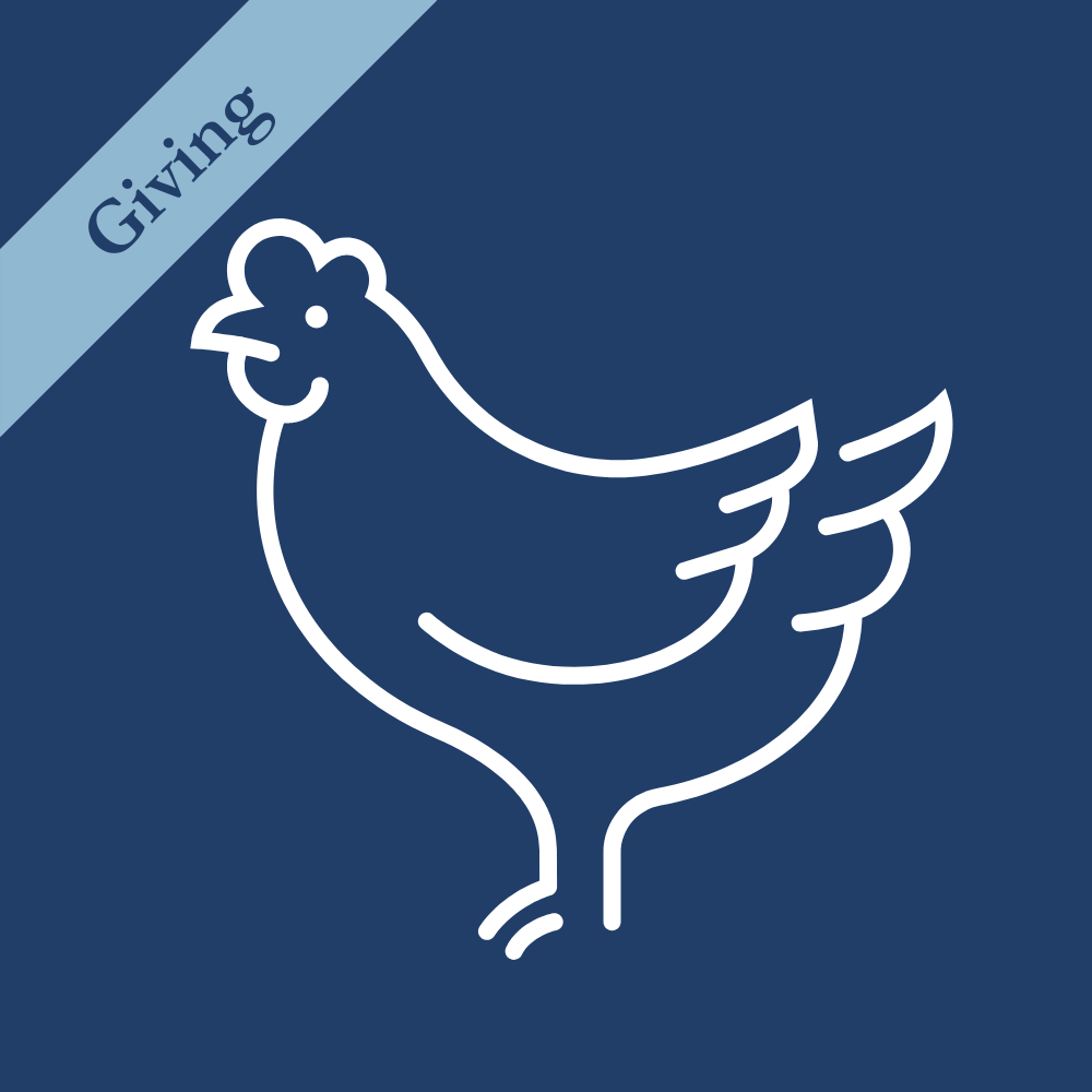 Chicken icon used to represent the name the chicken program.